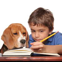 Ein Junge liest mit seinem Hund in einem Buch und macht sich mit einem gelben Bleistift scheinbar Notizen an den Rand.