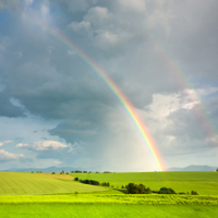 Vor dunklen Regenwolken ist eine sonnige, grüne Wiese und ein Regenbogen.